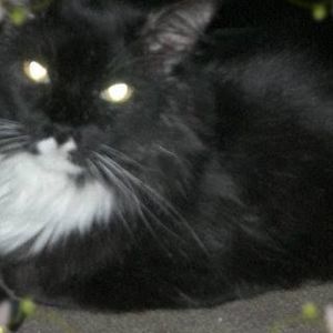 Meet your Posher, Tom n brenda